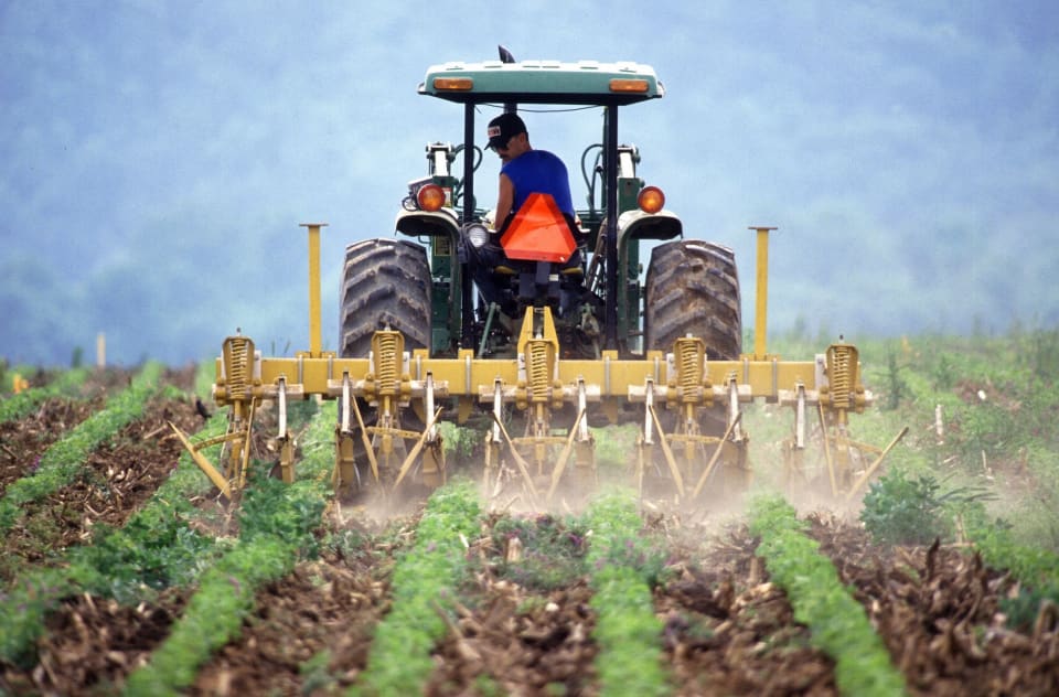 Agri Business